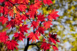 Sportangebote Herbstferien 2023 Sportangebote Herbstferien 2023